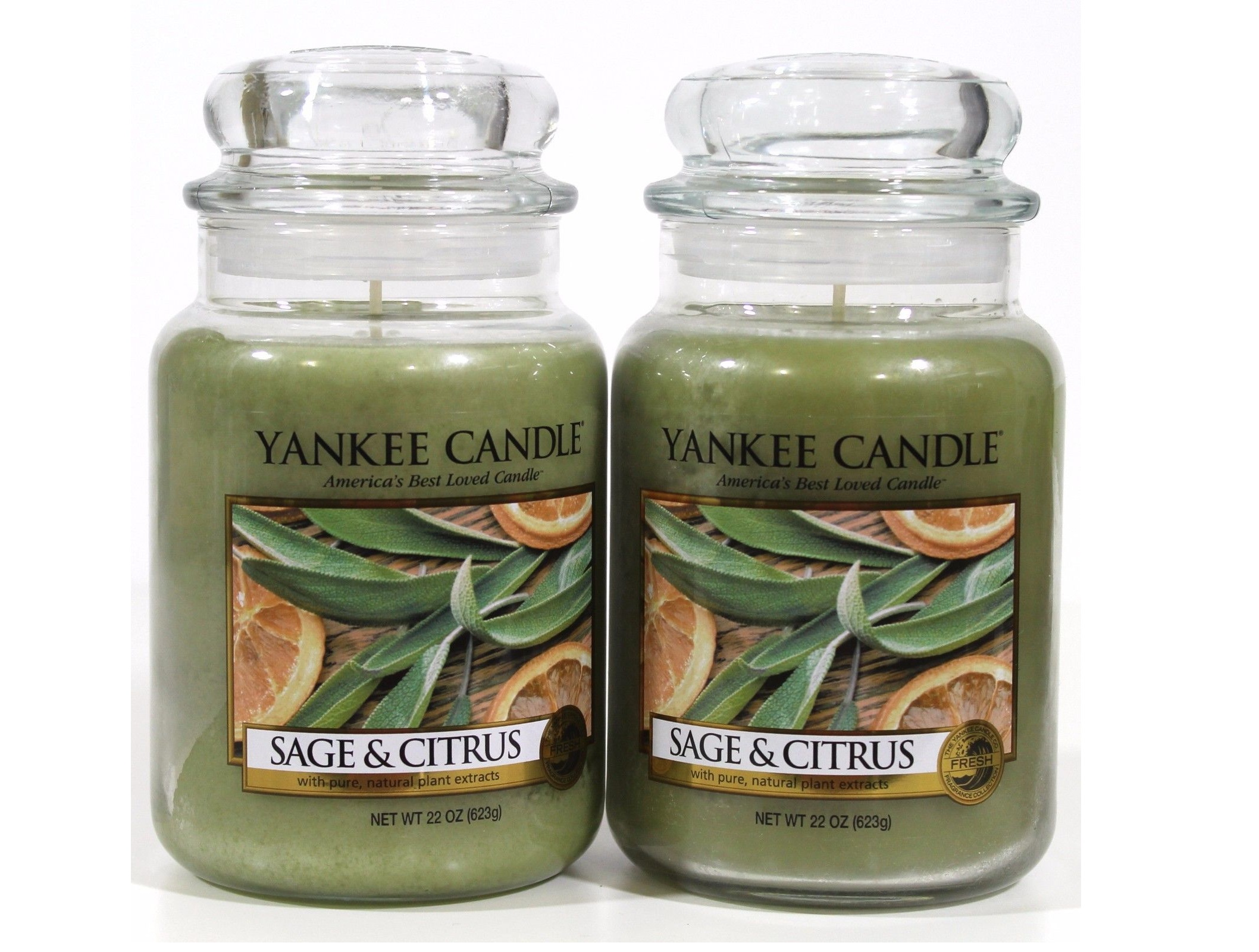 Sage & Citrus Yankee Candle